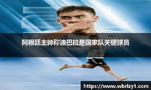 bsports官网入口