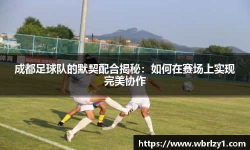 bsports官网